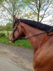 11233556_10153356574010799_3855065708115726315_n